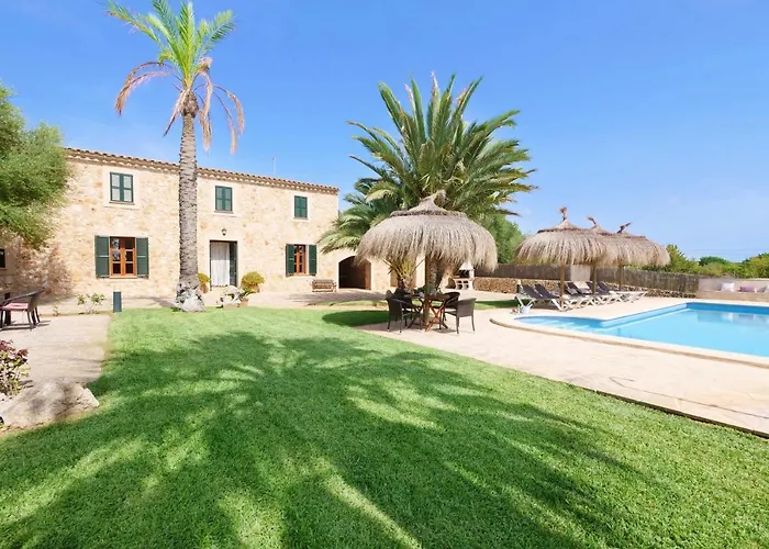 Finca Corso De Shorta